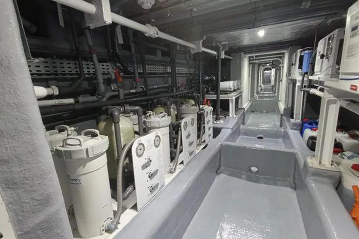 Majesty-155_0007_img63_result